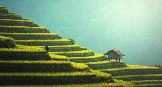 Dlaczego warto wybrać się na wakacje na Bali?